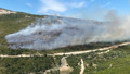 İzmir'in Urla ve Dikili ilçelerinde orman yangını çıktı