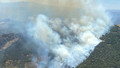 İzmir'de iki bölgede orman yangını çıktı!