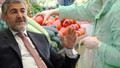 Kış öncesi sebze ve meyve fiyatları için yeni karar! Bakan Nebati duyurdu