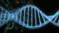 Ankara Üniversitesi, fakülte bilgilerini DNA’da depolayacak!