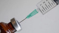 DMO'dan 1,5 milyon doz 'kuduz aşısı' kararı!
