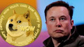 Kripto paralarda Elon Musk etkisi! Çakıldı…