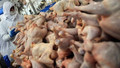 Tavuk eti ihracatına kısıtlama getirildi! Bakanlık duyurdu…