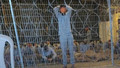 İsrail'de işkence merkezi ifşa oldu