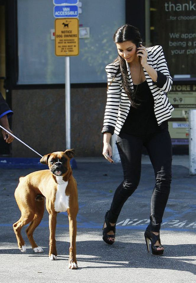 Kim Kardashian şimdi de köpeğine estetik yaptırdı - Sayfa 2